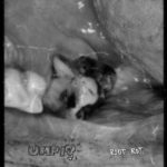 Umpio "Root Rot" -tape